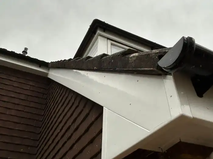 Fascia & guttering — after, close-up of the new fascia board and downpipe
