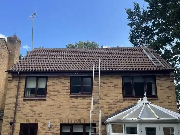 Moss & algae removal — after, tiles cleaned back to their original colour