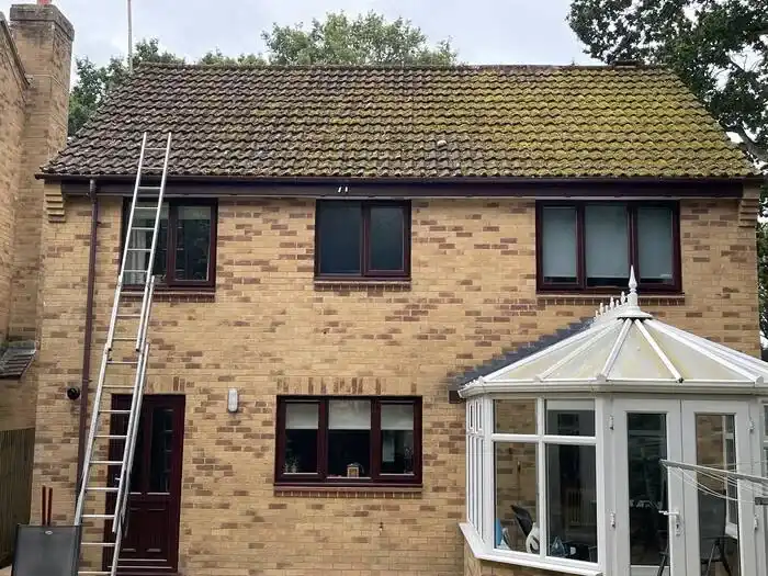 Moss & algae removal — before, heavy moss covering the tiles