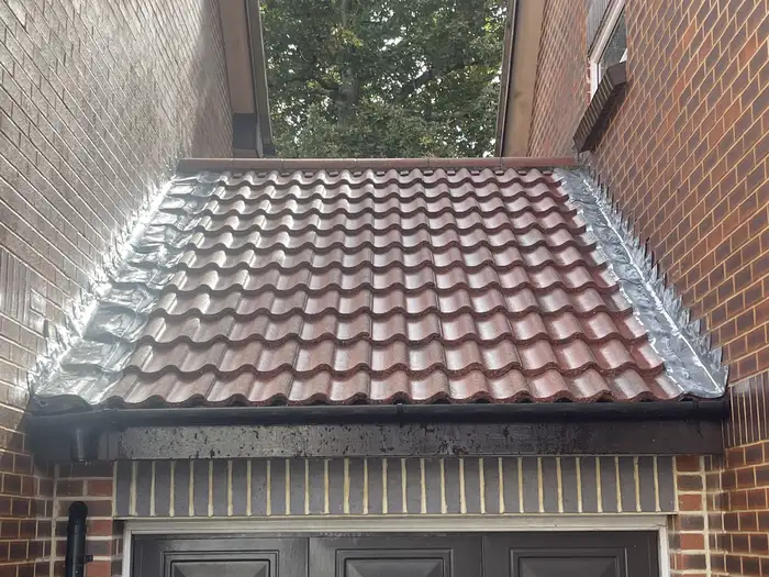 Moss & algae removal — after, garage canopy roof cleaned