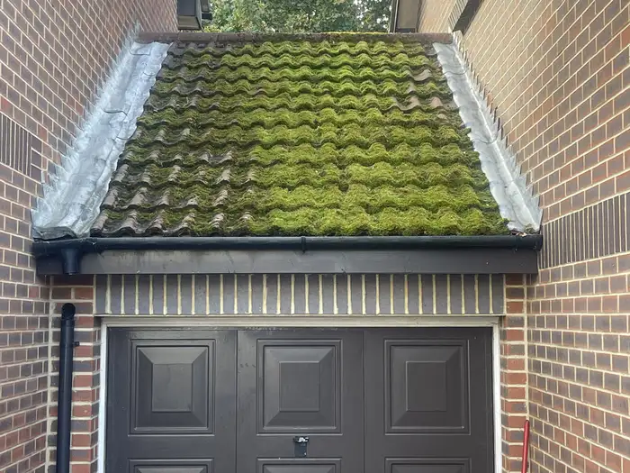Moss & algae removal — before, moss covering the garage canopy roof