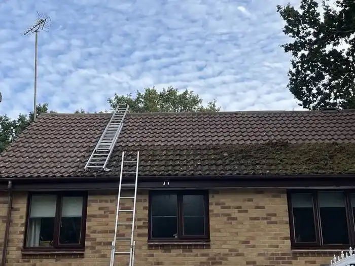 Moss & algae removal — during, soft-wash treatment underway