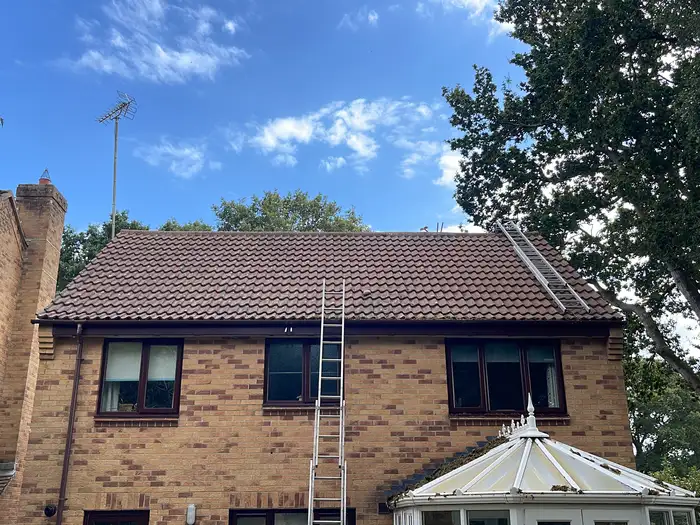 Moss & algae removal — after, tiles cleaned back to their original colour